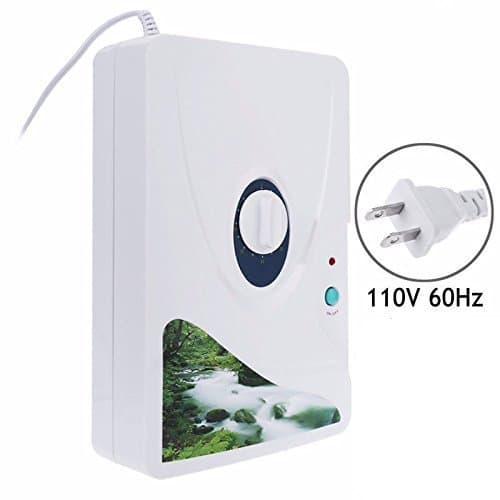 Egosola Ozone Generator Ozonator Machine 600mg/h Air Purifier Water Food Sterilizer Vegetable Fruit Fresher 110V