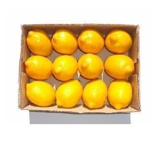WOFEE 12pcs Artificial Lemons Faux Plastic Fruit Home Party Decor Display