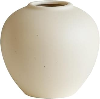 WENSHUO Mini Bud Vases, Ceramic Small Vase for Decor, Matte Crème (C)