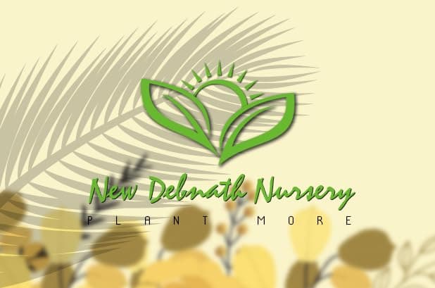 NEW DEBNATH NURSERY Rare Purple Hybrid Passion Fruit Live Seedling Plant