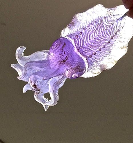 Cuttlefish Ornament, Translucent Purple Glow in the Dark