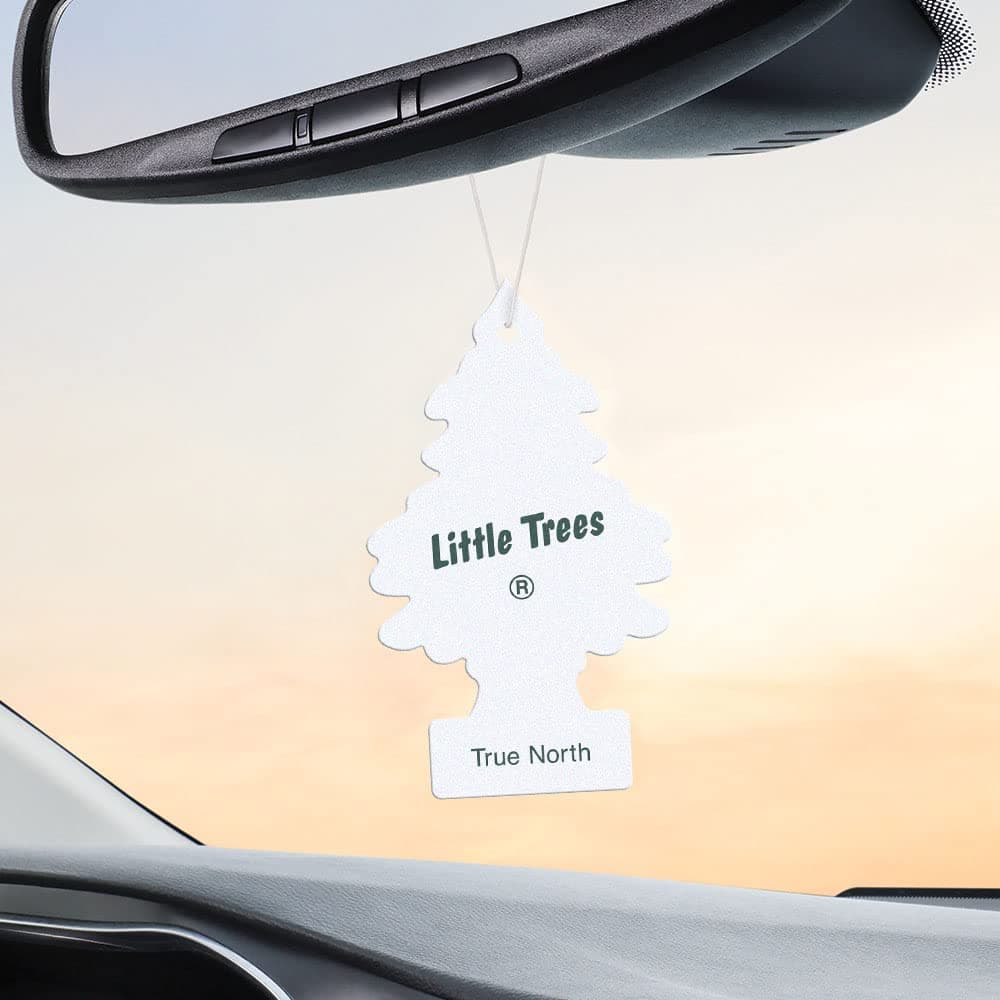 LITTLE TREES Air Fresheners Car Air Freshener. Hanging Tree Provides Long Lasting Scent for Auto or Home. True North, 24 Air Fresheners
