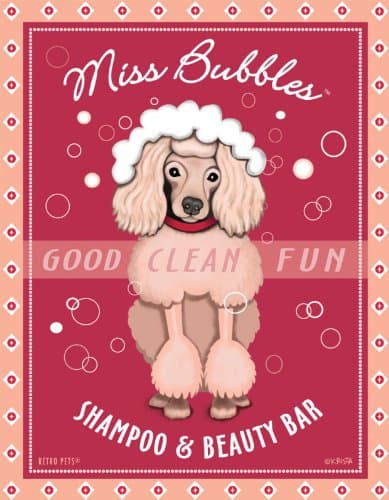Retro Pets - Poodle Art - Miss Bubbles - Shampoo & Beauty Bar - 8x10 Art Print from the Hodge Podge Series - Ready to Frame
