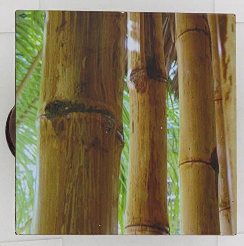 Set of 2 Square Curtain Clips, Ref. 3088/138 FENG-SHUI BAMBOO, Tieback, Metal, 6.5x6.5cm (2.6"x2.6")