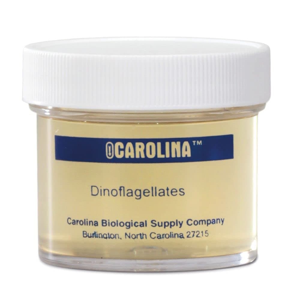 Dinoglagellates, Living Culture, Sufficient Material for 30 Students