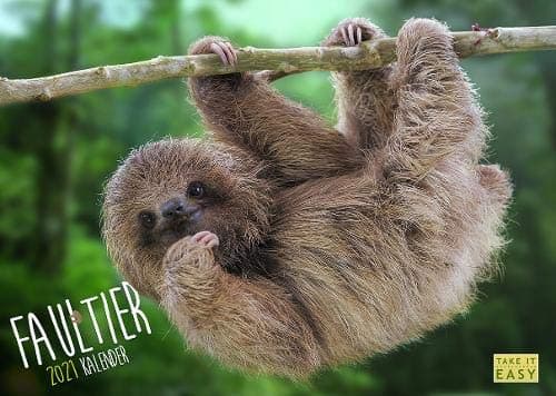 Faultier Kalender 2021