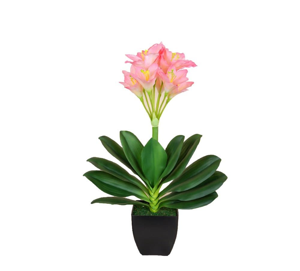 MUXUE Clivia noble emulation flower, living room table decorations fall flowers, home decoration modern flower (Pink)