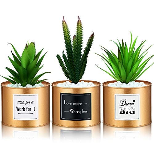 WILLBOND 3 Pots Succulent Office Decor for Women Desk, Boho Decor for Kitchen Office Bookshelf Bedroom College Dorm Artificial Plant Cactus Succulent for Kitchen Decorations (Gold)