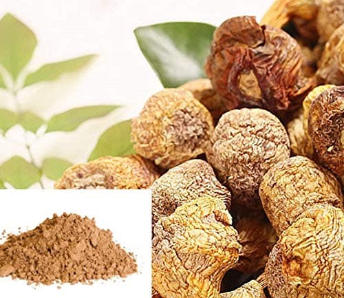 DR T&T™ Agaricus Blazei (Himematsutake) mushroom powder 100g with certificate