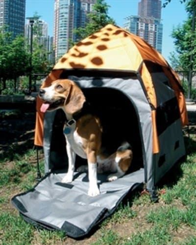 Umbra Tent Pet House Pop-up portable pet house Size: Medium, 29 1/2"L x 29 1/2"W x 31 1/2" H
