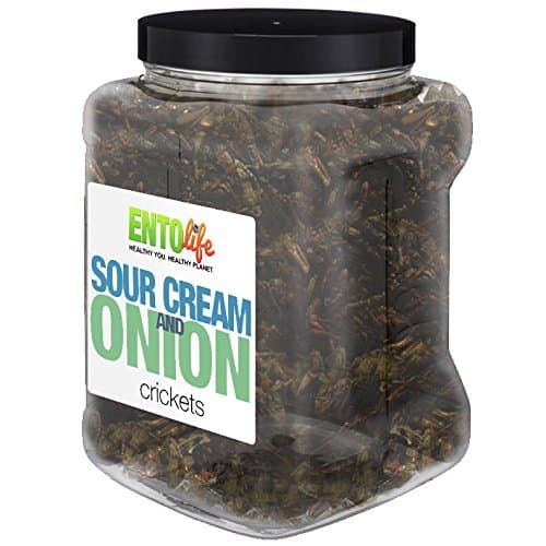 Order in Bulk: One Pound of Cleaned Sour Cream and Onion Flavored Crickets