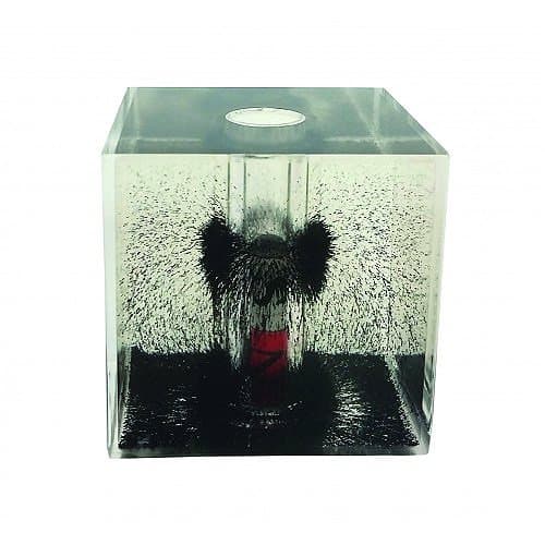 American Scientific Magnetic Field Cube