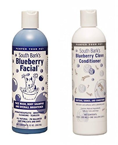 South Bark's Blueberry Facial Shampoo & Blueberry Clove Conditioner Set