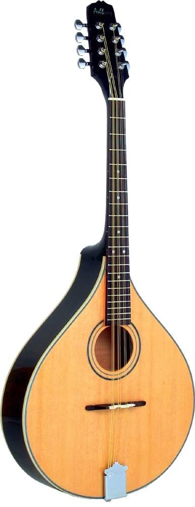 Ashbury Acoustic Instruments Ashbury AM-325 Octave Mandola