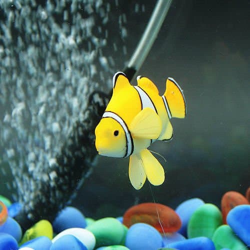 New Clownfish Yellow Aquarium Fish Tank Landscape Decoration Glow Simulation Animal Plants Ornament Nemo & Rumble Fish no.09