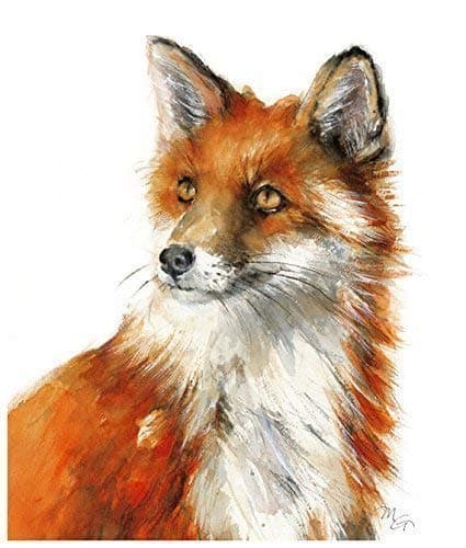 Fox Watercolor Giclee Print