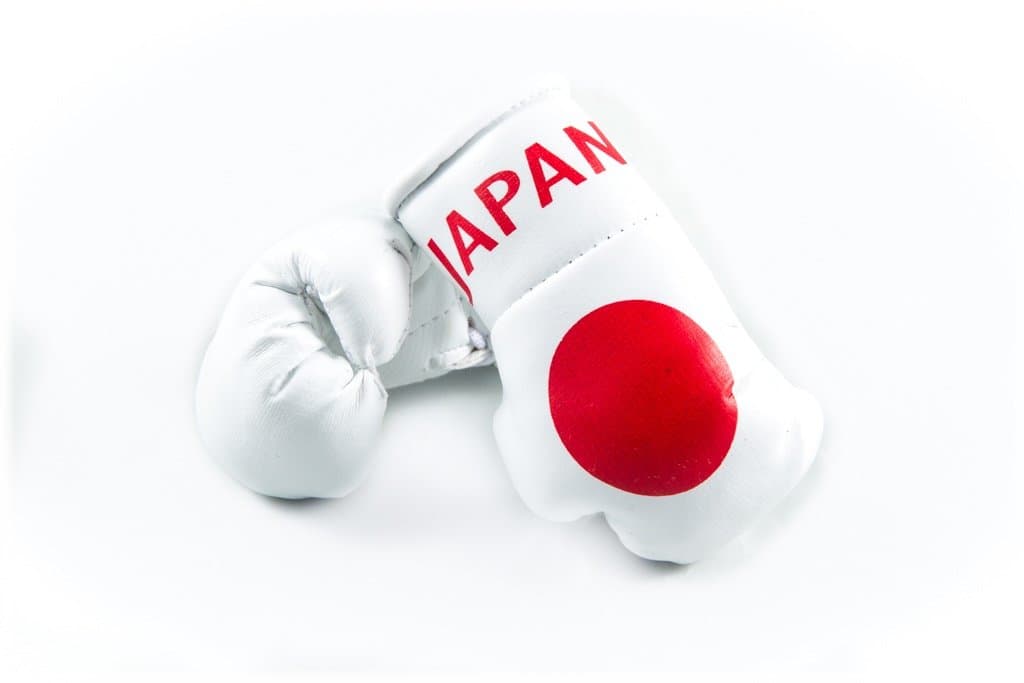 Mini Boxing Gloves Japan, set of 2 mini boxing gloves for car interior mirror
