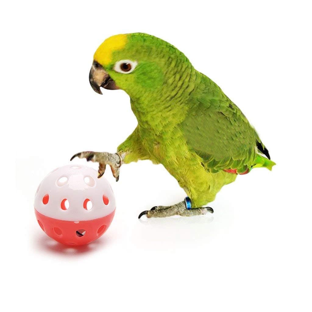 The Pets Company Bird Interactive Bell Ball, Bird Toy for Parakeet, Cockatiel, Budgerigar, Parrots, Set of 2, 1.5 Inches
