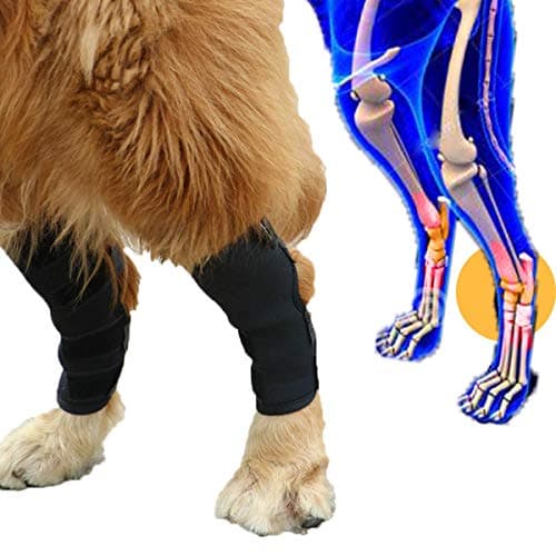 ROZU Dog Rear Leg Braces Pet Injury Splint Hock Joint Protectors Canine Hind Strap Support for Sprains Wound Torn ACL Recover After Surgery Relieve Pain Black 1 Pair XL Size