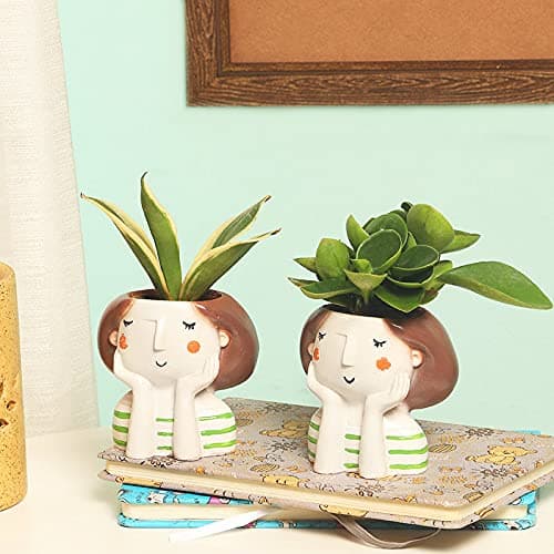FlowerAura Decorative Set Of 2 (Sansevieria and Peperomia Dwarf Plant) Air Purifying Live Indoor Plants In Resin Vase Pots For Living Room, Balcony, Home Garden, Bedroom, Office/Home Decoration And Gifts For Friends, Relatives, Neighbours & Colleagues