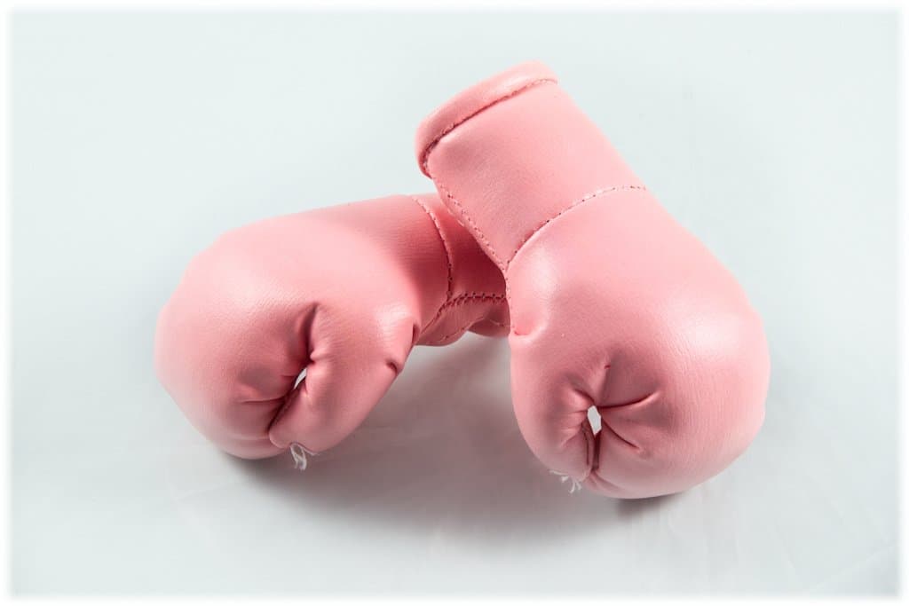 Mini Boxing Gloves Pink/Light Pink, 1 Pair (2pcs) Mini Boxing Gloves for Car Interior Mirror