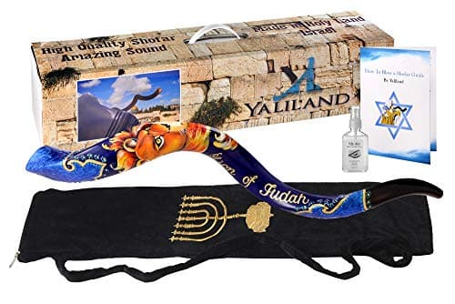 Hand - Painted Kudu Shofar Complete Set - 30"-32" Yemenite Horn with Lion of Judah, Bag, Spray, Guide & Case