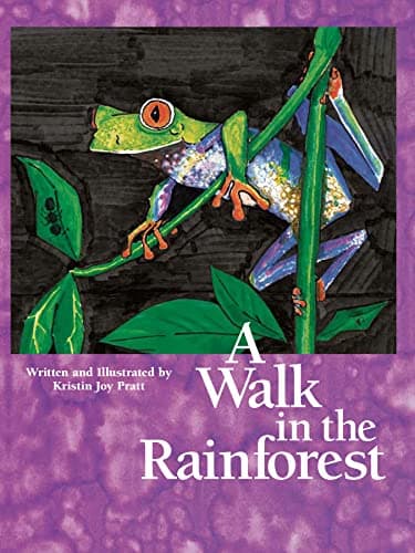 A Walk in the Rainforest Board book – March 1, 2007