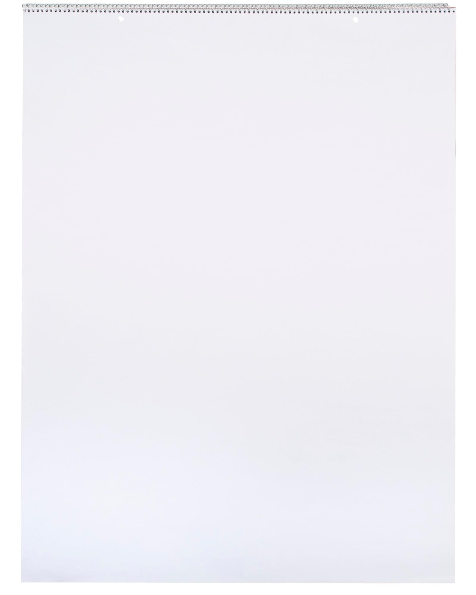 School Smart Chart Paper Pad, 32 x 24 Inches, Unruled, 25 Sheets