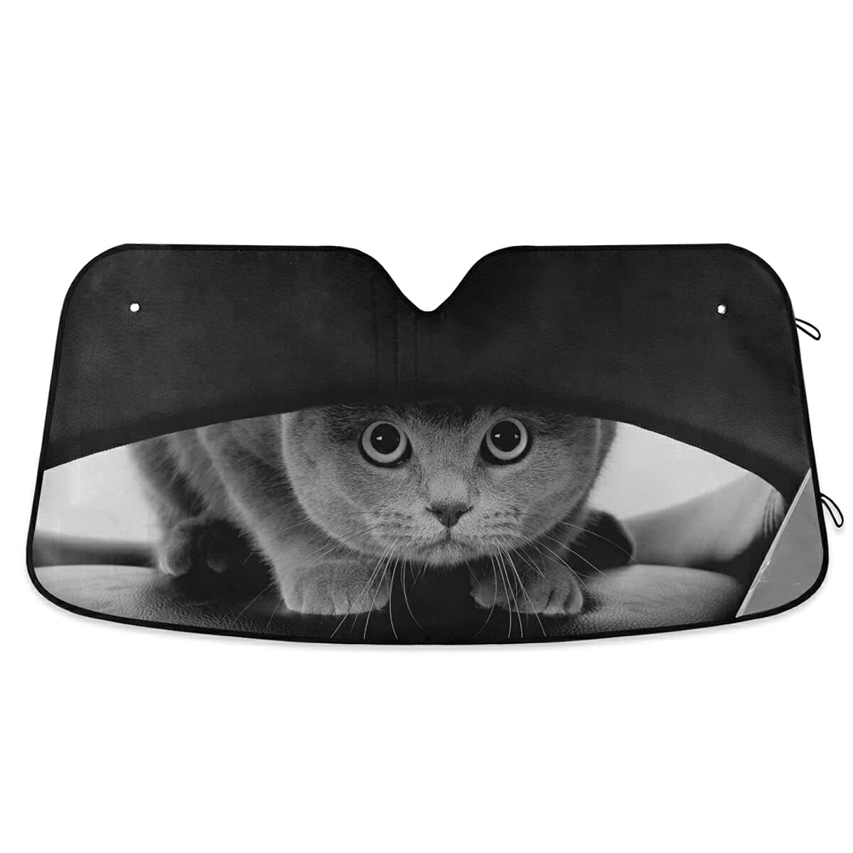 SUABO Car Windshield Sun Shade Funny Scottish Cat Foldable Auto Window Sunshade Blocks UV Rays Sun Visor Protector (55" x 27.5")