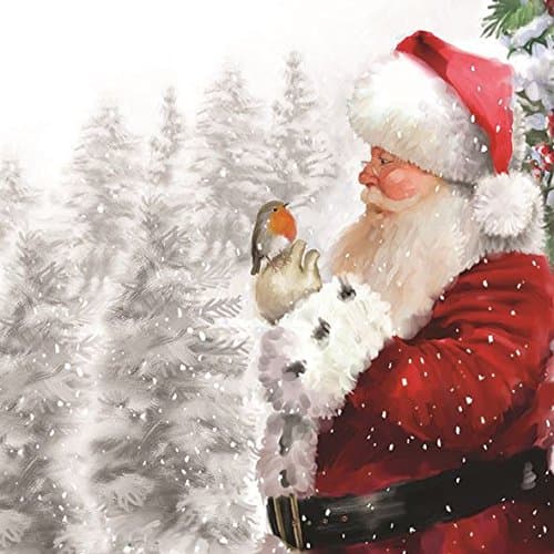 SANTA ROBIN SNOW CHRISTMAS EMBOSSED 13" x 13" 33CM X 33CM 20 X 3 PLY PAPER NAPKINS