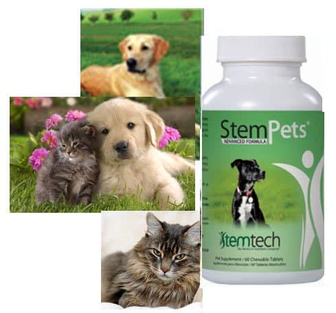 Case of 6 Stem Pets StemPets