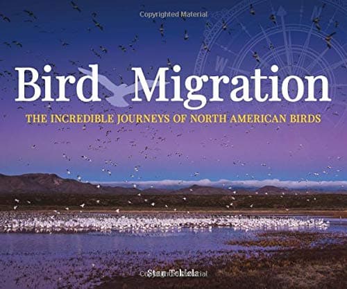 Bird Migration: The Incredible Journeys of North American Birds (Wildlife Appreciation)