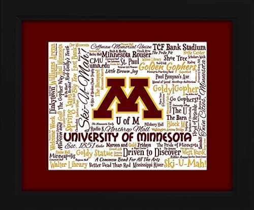 University of Minnesota 16x20 Beautifully Framed Canvas Art Piece