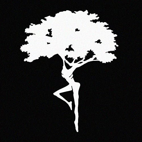 Dave Matthews Band Dreaming Tree/Fire Dancer Decal
