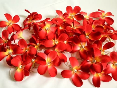 Red Tone Frangipani Flower Plug-in String Lights Home Decor Party - Indoor / Outdoor