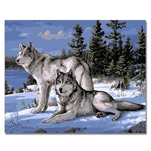 DIY Oil Painting on Canvas Paint by Number Kit for Adult - Animal Wolf -16x20 Inches Without Frame