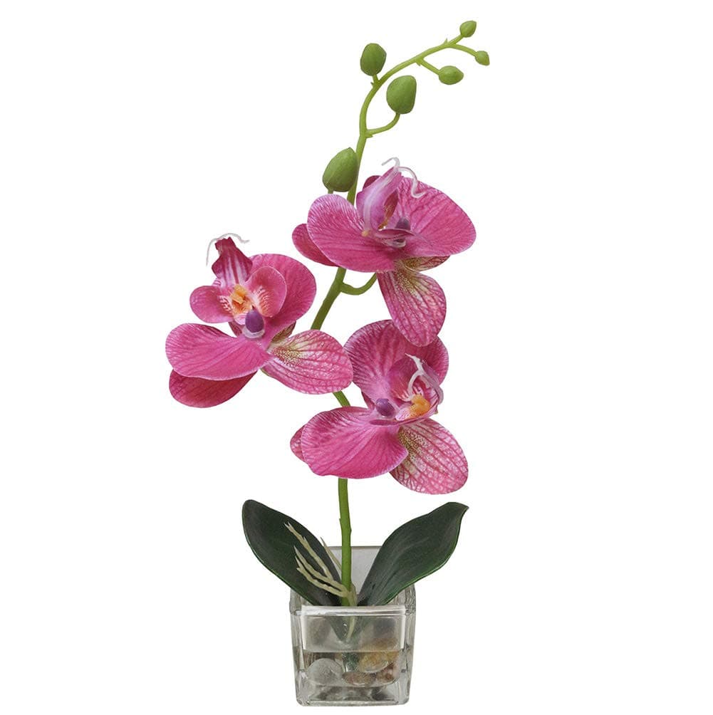 Mini Artificial Orchid Lifelike Real Touch Arrangement Phalaenopsis Bonsai Flowers Miniascape Home Decoration