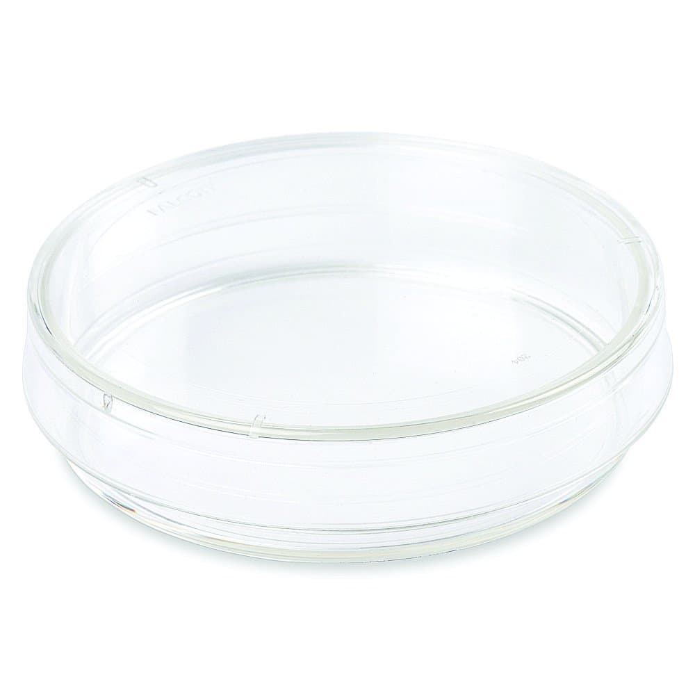 Corning Falcon #353001, 35 mm TC-Treated Easy-Grip Style Cell Culture Dish, (Pack of 20)