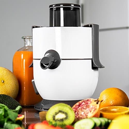 Cecomix Strong 4080 650W Zentrifugalentsafter