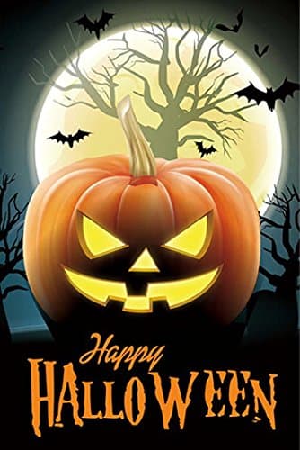 Halloween Garden Flag (Jack O Lantern) double sided reads correctly on both sides small 12 x 18