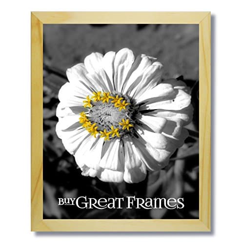 SET of 2 - 8x10 Natural - Light Wood Picture Frames and Clear Glass