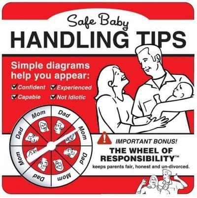 Safe Baby Handling Tips Board book – November 8, 2005