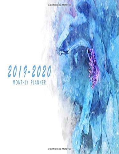 2019-2020 Monthly Planner: 2019-2020 Calendar Planner | 24 Months Calendar Planner | 2 Years Planner January 2019 to December 2020 Academic Agenda ... Appointment Notebook Planner 2019-2020) Paperback – Notebook, 23 July 2018