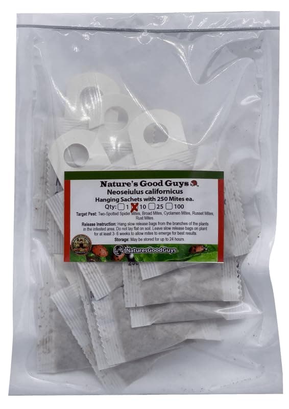 Neoseiulus californicus 10 sachets with 250 Mites