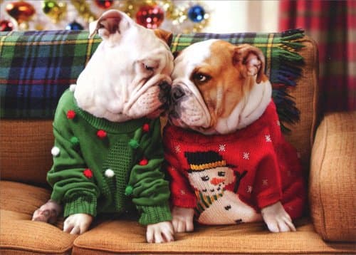 AVANTI Card Christmas Bulldogs In Sweaters, 1 EA