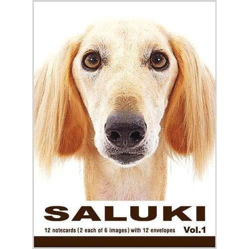 Saluki 12 Pack Greeting Cards