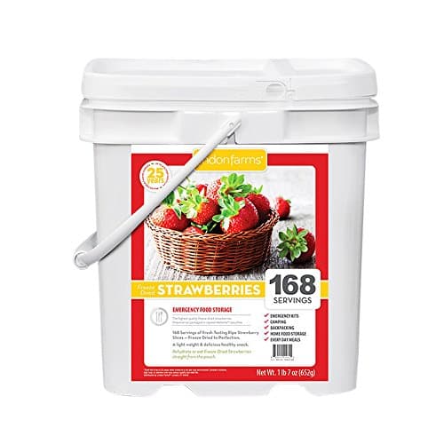 Lindon Farms Freeze Dried Strawberries Emergency Survival Food Storage Bucket 168 Servings