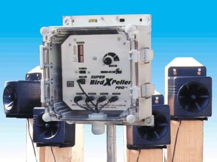 Bird-X SBXP-PRO-1 Super Bird X Peller Pro-Model 1 for Pigeons Sparrows Starlings and Gulls