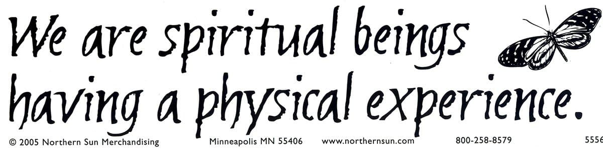 Northern Sun We are Spiritual Beings Having a Physical Experience – Spiritual Bumper Sticker/Decal (11.5" X 3")