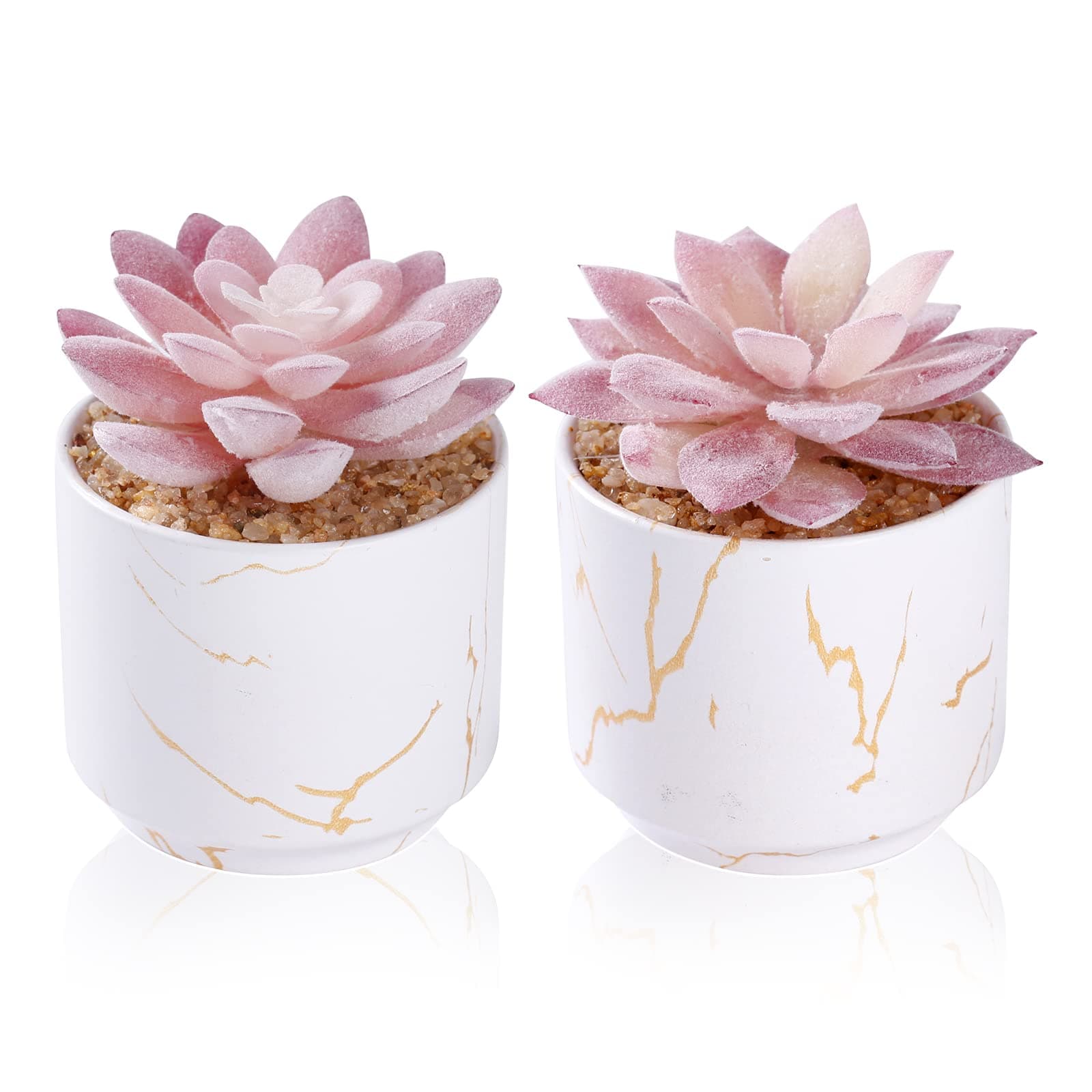 Artificial Plants and Succulents in 2 White Ceramic Pots,Small Fake Plants for Office and Desk Decor,Bathroom, Bedroom,Shelves for Women